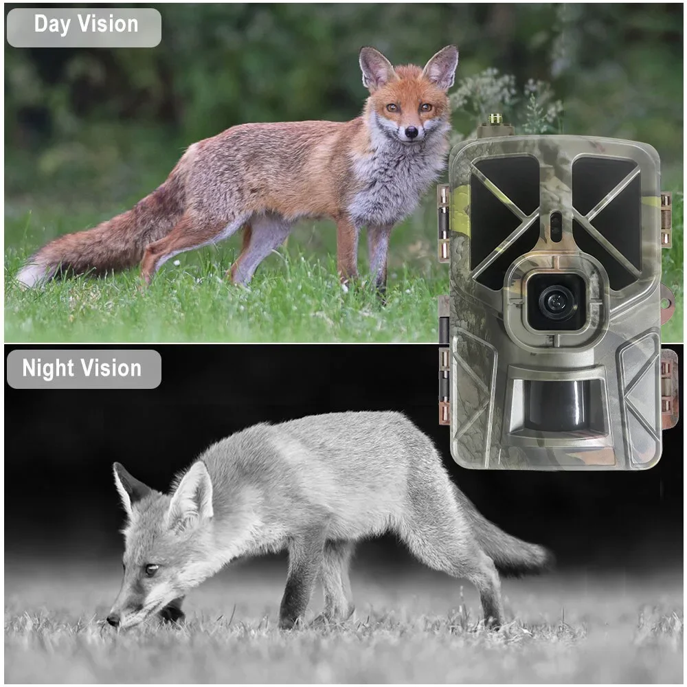 HC-935Pro 2K الحياة البرية في  - مراجعة Outdoor Hunting Camera Wireless وسعره
