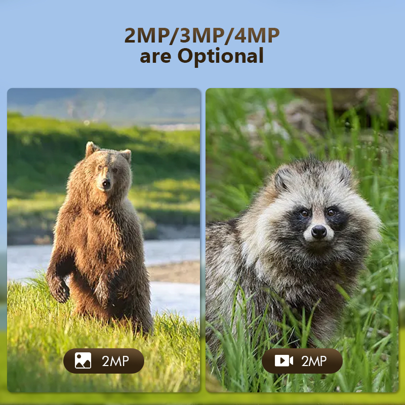 كاميرا لعبة درب للصيد في الحيا - مراجعة Outdoor Hunting Camera Wireless وسعره