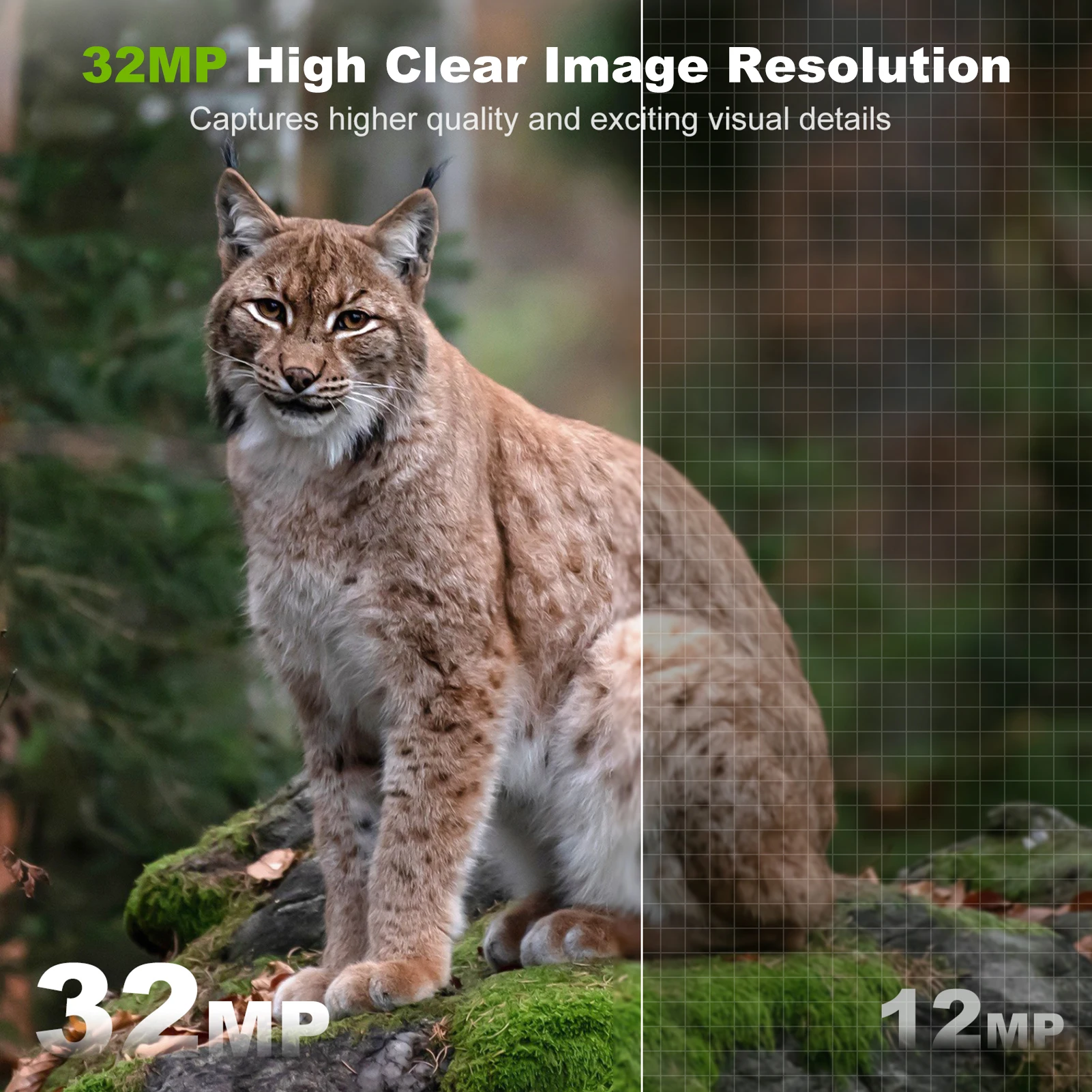 كاميرا تعمل بالطاقة الشمسية في - مراجعة Outdoor Hunting Camera Wireless وسعره